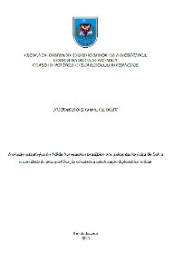 A missão estratégica do Adido Aeronáutico brasileiro nos países da América do Sul : a necessidade de uma qualificação orientada à interlocução diplomático-militar