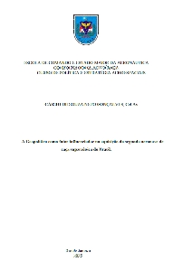 A Geopolítica como fator influenciador na aquisição da segunda aeronave de caça supersônica do Brasil