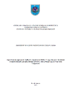 Supervisão do emprego de Artilharia Antiaérea de Médio e Longo Alcances e de mísseis e foguetes lançados por plataformas terrestres : uma atribuição nata à Força Aérea Componente