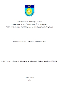 O Soft Power e o Curso de Adaptação ao Idioma e à Cultura Brasileira (CAICB)
