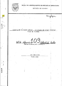 Camuflagem de Bases Aéreas : aplicação de novas técnicas