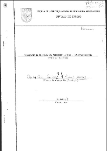 A economia de recursos nas atividades aéreas : uma visão moderna