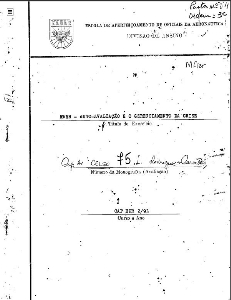 MAER : auto-avaliação e o gerenciamento da crise