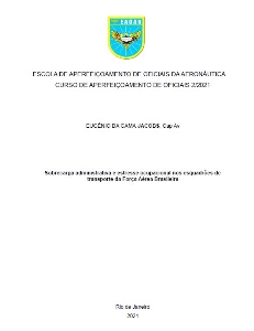 Sobrecarga administrativa e estresse ocupacional nos esquadrões de transporte da Força Aérea Brasileira  [recurso eletrônico]