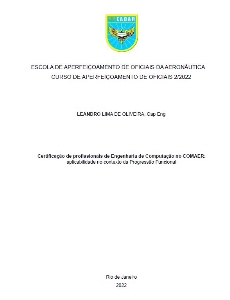 Certificação de profissionais de Engenharia de Computação no COMAER [recurso eletrônico] : aplicabilidade no contexto da Progressão Funcional