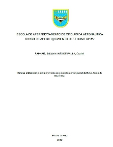 Defesa antiaérea [recurso eletrônico] : o aprimoramento da proteção aeroespacial da Base Aérea de Boa Vista