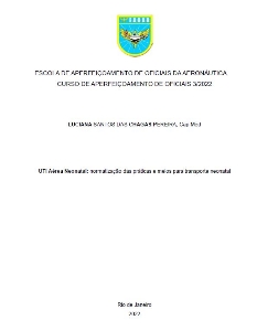 UTI Aérea Neonatal [recurso eletrônico] : normatização das práticas e meios para transporte neonatal