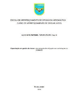 Capacitação em gestão de riscos [recurso eletrônico] : uma proposta de mitigação nas contratações do COMAER