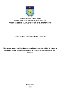 Ritos de passagem e socialização cultural na formação do ethos militar do cadete da aeronáutica : Análise do Processo de socialização militar do cadete e proposições para a formação