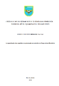 A capacitação dos capelães na prevenção ao suicídio na Força Aérea Brasileira [recurso eletrônico]