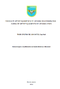 Humanização e Acolhimento da Saúde Materna e Neonatal [recurso eletrônico]