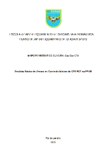 Doutrina Básica de Drones no Currículo Mínimo do CFS BCT na EEAR [recurso eletrônico]