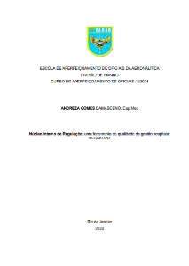 Núcleo Interno de Regulação: [recurso eletrônico] :  uma ferramenta de qualidade da gestão hospitalar no GSAU-NT