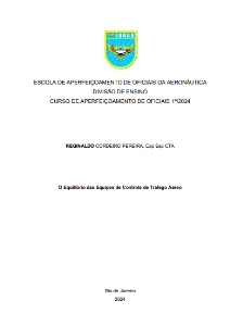 O Equilíbrio das Equipes de Controle de Tráfego Aéreo [recurso eletrônico]