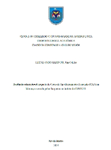 Avaliação educacional [recurso eletrônico] : impacto do Curso de Aperfeiçoamento Avançado (CAA) na liderança exercida pelos Sargentos no âmbito do COMAER