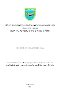 Mapeamento de processos de execução patrimonial e financeira [recurso eletrônico] : com foco em simplificação de tarefas e emprego de recursos humanos da Base Aérea de São Paulo