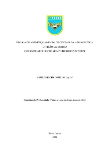 Atendimento Pré-hospitalar Tático: [recurso eletrônico] : a capacitação das tropas de GLO