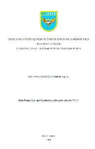 Metodologia Ágil [recurso eletrônico] : aperfeiçoando a gestão operacional do GTE-3