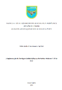 A implementação da Abordagem Multidisciplinar na dor lombar crônica no CAIS do HCA [recurso eletrônico]