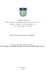CYBER DOMAIN AND AEROSPACE POWER : The Strategic Role of Cyber Situational Awareness in the Context of the Brazilian Air Force