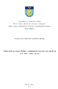 A influência do sono, humor, felicidade e condicionamento físico sobre o desempenho em voo de cadetes aviadores da FAB